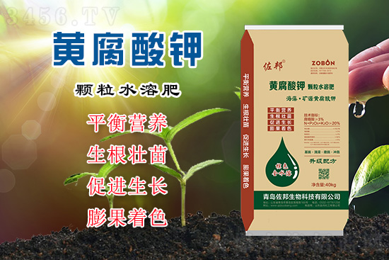 黄腐酸钾为什么如此畅销?黄腐酸钾真相大揭秘! 黄腐酸钾为什么如此畅销?黄腐酸钾真相大揭秘!